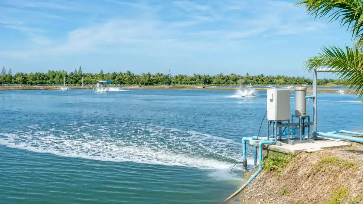 Oxynity generator installed beside an aquaculture pond